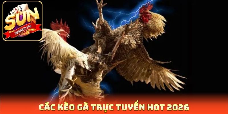 Kèo Gà Trực Tuyến - Dự Đoán Chiến Kê Săn Thưởng Cực Đã 3 Các kèo gà trực tuyến hot 2026