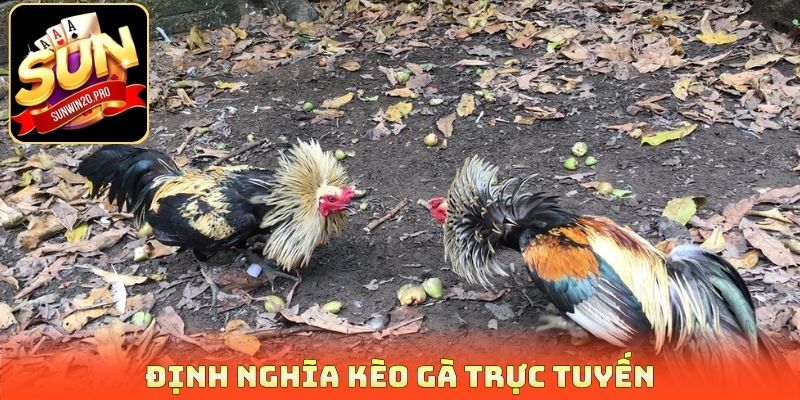 Kèo Gà Trực Tuyến - Dự Đoán Chiến Kê Săn Thưởng Cực Đã 2 Định nghĩa kèo gà trực tuyến