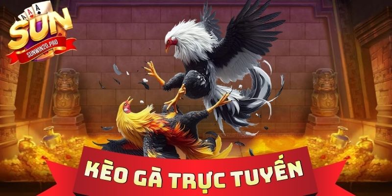 Kèo Gà Trực Tuyến - Dự Đoán Chiến Kê Săn Thưởng Cực Đã 1 Kèo Gà Trực Tuyến