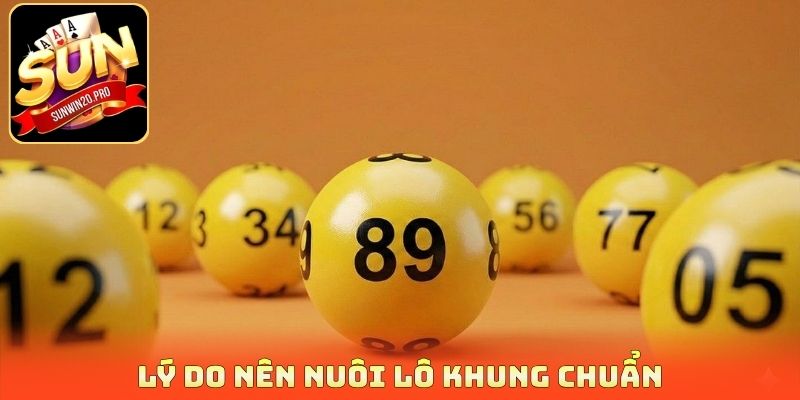 Lý do nên nuôi lô khung chuẩn