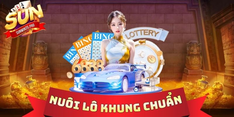 Nuôi Lô Khung Chuẩn