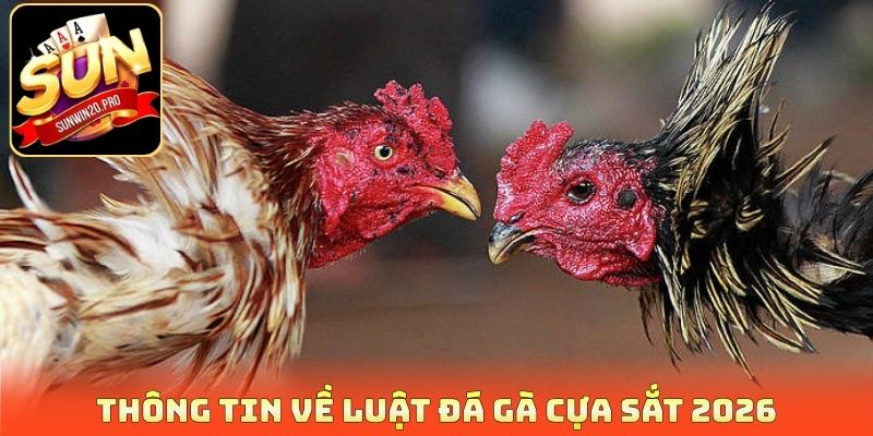 Thông tin về luật đá gà cựa sắt 2026